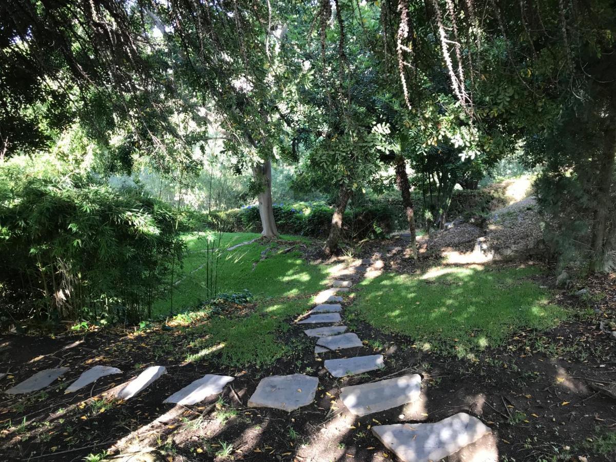 Villa Lampara En La Colina Benahavís Dış mekan fotoğraf